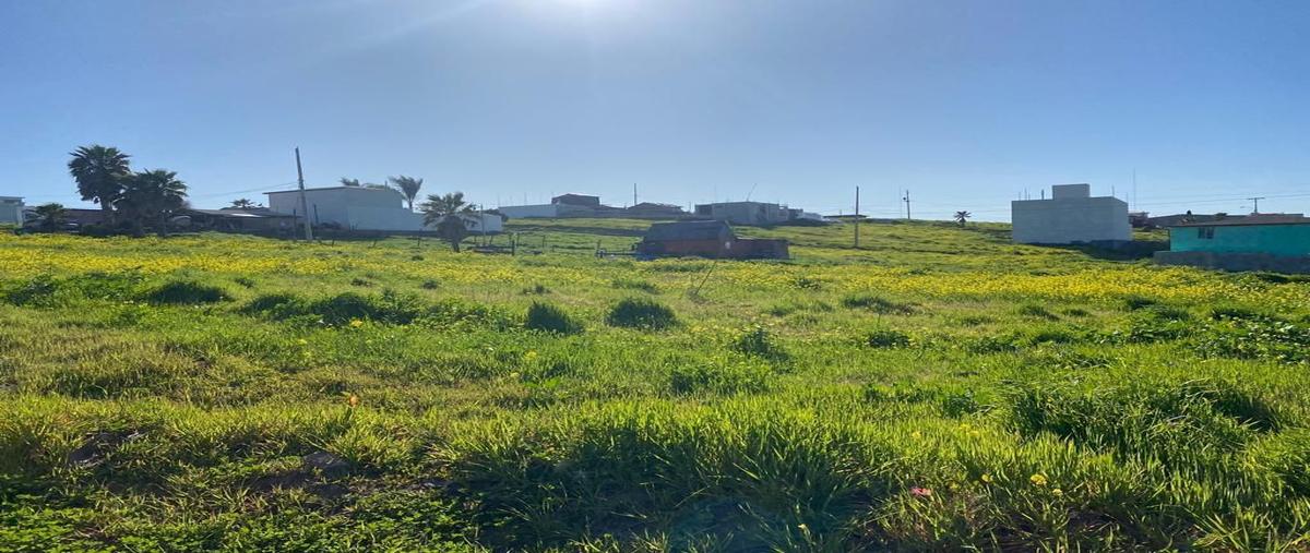 Foto de terreno habitacional en santa teresa , misión del mar ii, playas de rosarito, baja california, 28230341 foto 04 Foto de terreno habitacional en venta en santa teresa , misión del mar ii, playas de rosarito, baja california, 28230341 No. 04