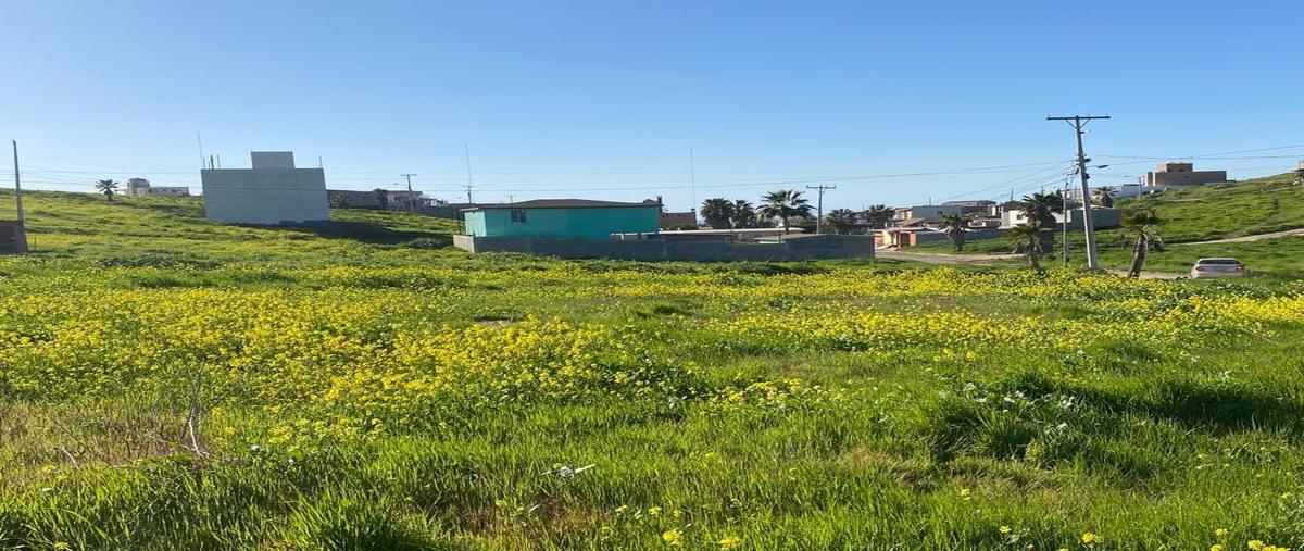 Foto de terreno habitacional en santa teresa , misión del mar ii, playas de rosarito, baja california, 28230341 foto 05 Foto de terreno habitacional en venta en santa teresa , misión del mar ii, playas de rosarito, baja california, 28230341 No. 05