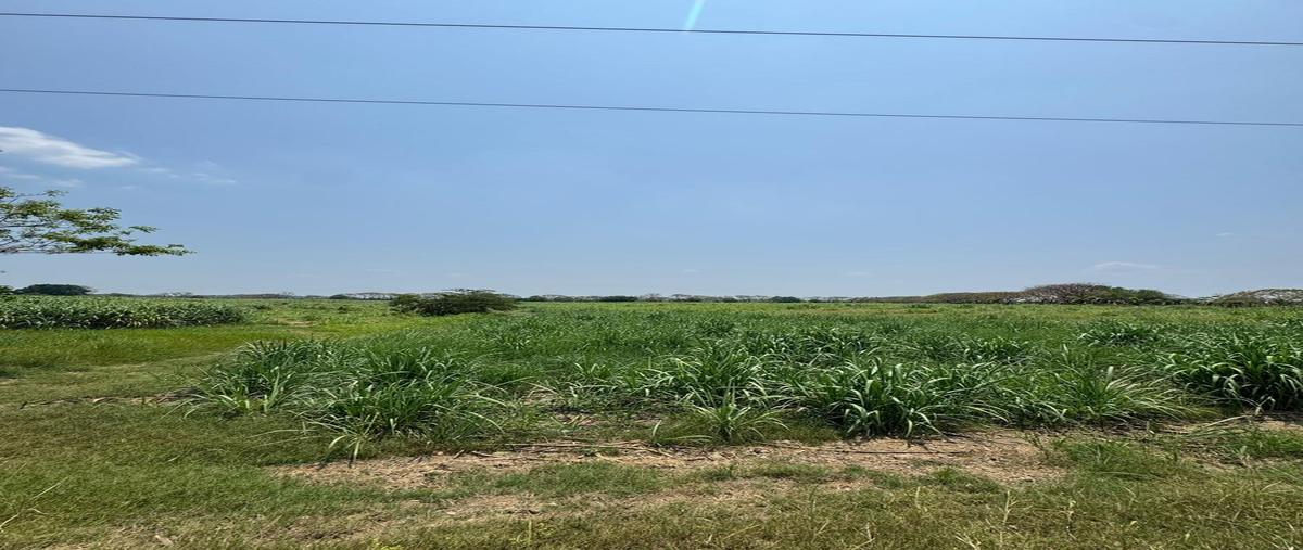 Foto de terreno habitacional en venta en  , santa teresa, san juan bautista tuxtepec, oaxaca, 30145125 No. 03