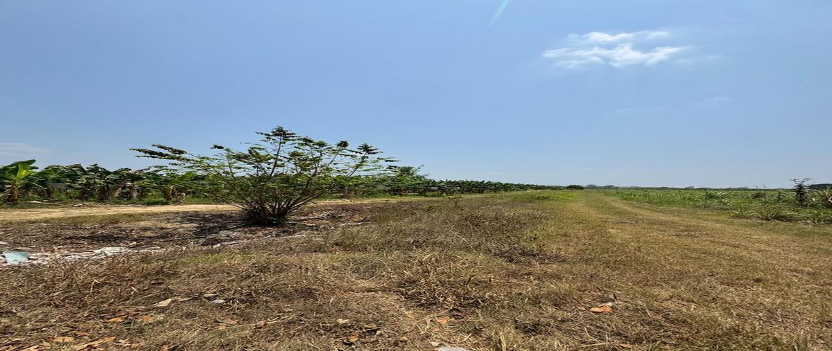 Foto de terreno habitacional en venta en  , santa teresa, san juan bautista tuxtepec, oaxaca, 30145125 No. 05