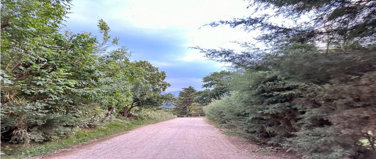 Foto de terreno habitacional en , santa teresa tilostoc, valle de bravo, méxico, 0 foto 04 Foto de terreno habitacional en venta en , santa teresa tilostoc, valle de bravo, méxico, 0 No. 04