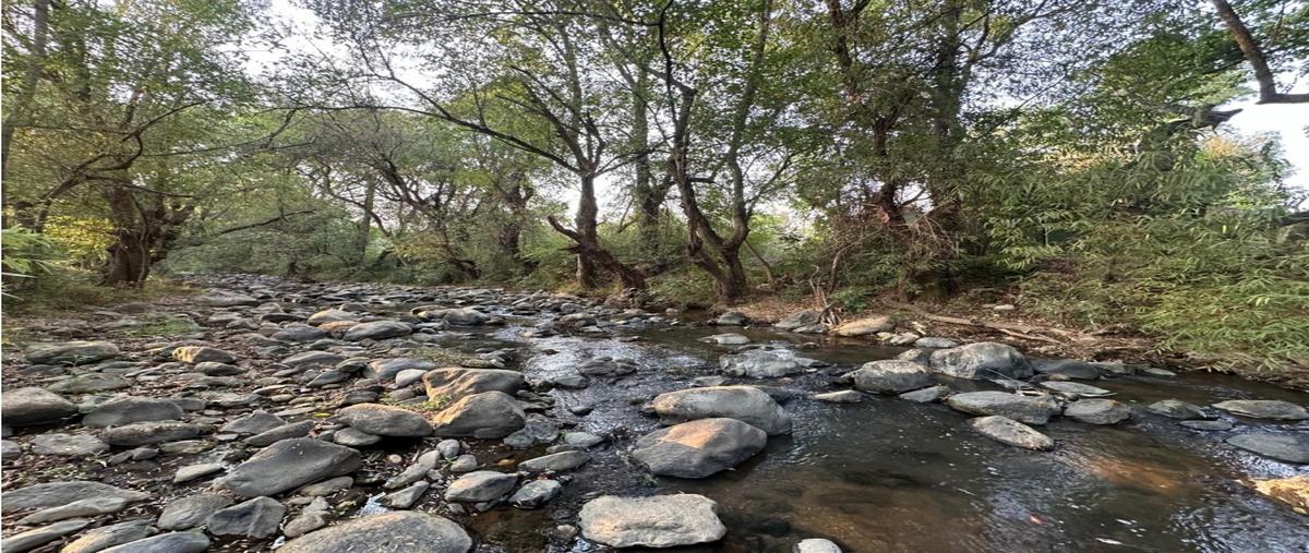 Foto de terreno habitacional en venta en  , santa teresa tilostoc, valle de bravo, méxico, 28158957 No. 03