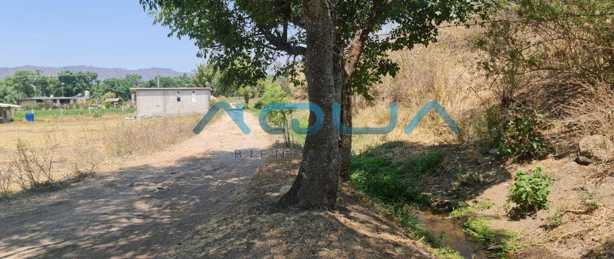 Foto de terreno habitacional en venta en  , santa teresa tilostoc, valle de bravo, méxico, 0 No. 05