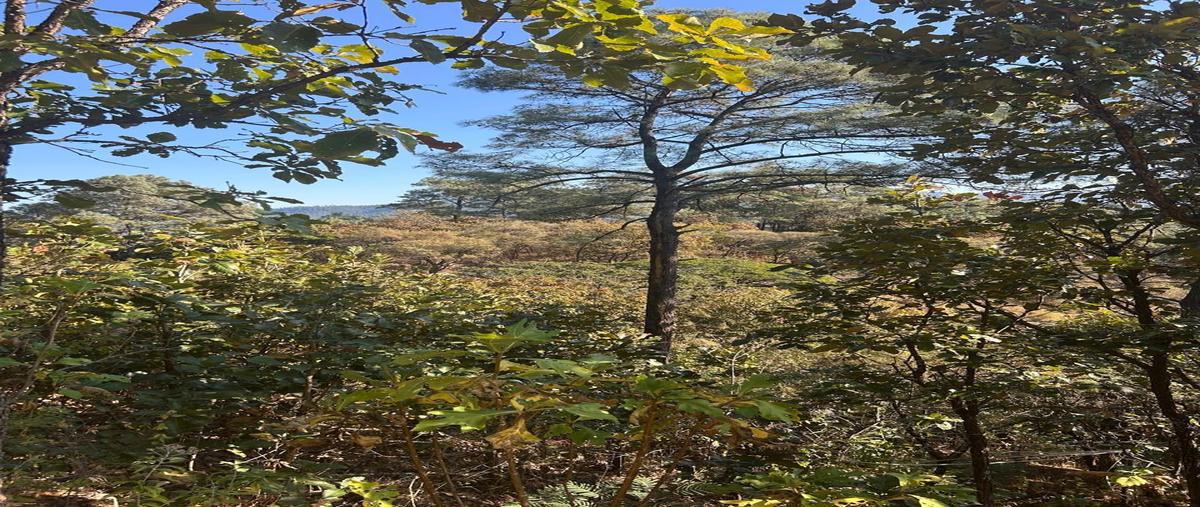 Foto de terreno habitacional en venta en  , santa teresa tilostoc, valle de bravo, méxico, 0 No. 03