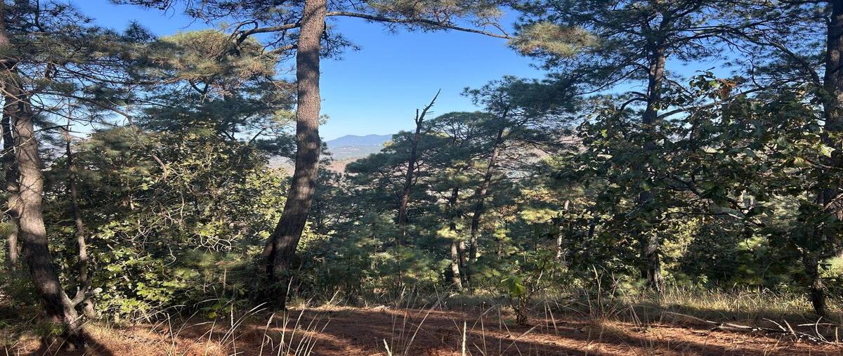 Foto de terreno habitacional en venta en  , santa teresa tilostoc, valle de bravo, méxico, 0 No. 05