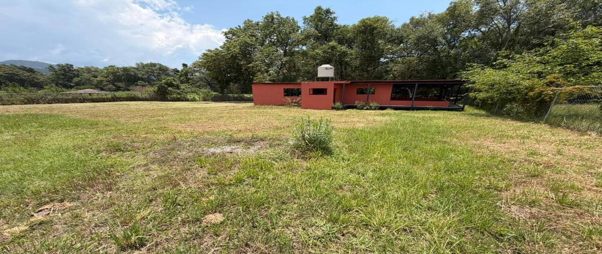Foto de terreno habitacional en venta en  , santa teresa tilostoc, valle de bravo, méxico, 0 No. 03