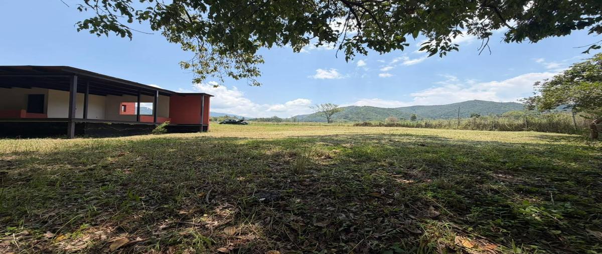 Foto de terreno habitacional en venta en  , santa teresa tilostoc, valle de bravo, méxico, 0 No. 05