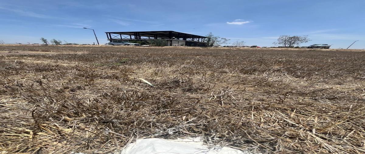 Foto de terreno habitacional en venta en  , santa teresita de don diego, san miguel de allende, guanajuato, 0 No. 05