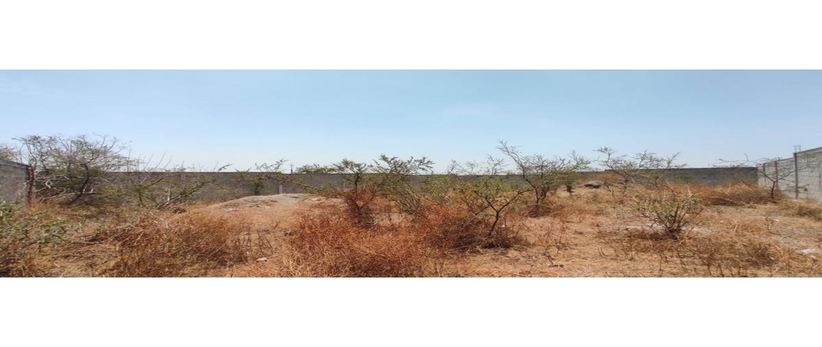 Foto de terreno habitacional en venta en  , santa ursula, temixco, morelos, 0 No. 05