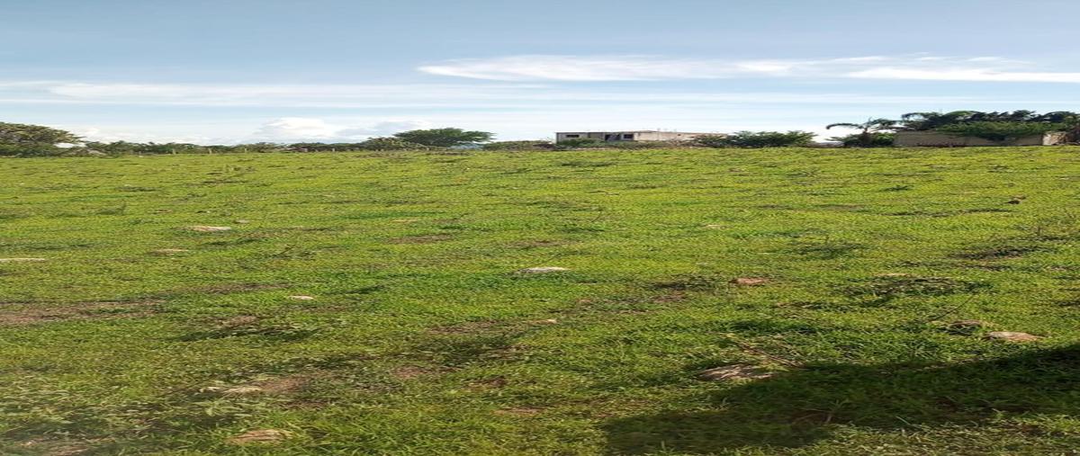 Foto de terreno habitacional en venta en  , santa ursula, temixco, morelos, 0 No. 03