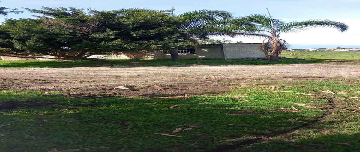 Foto de terreno habitacional en venta en  , santa ursula, temixco, morelos, 0 No. 04