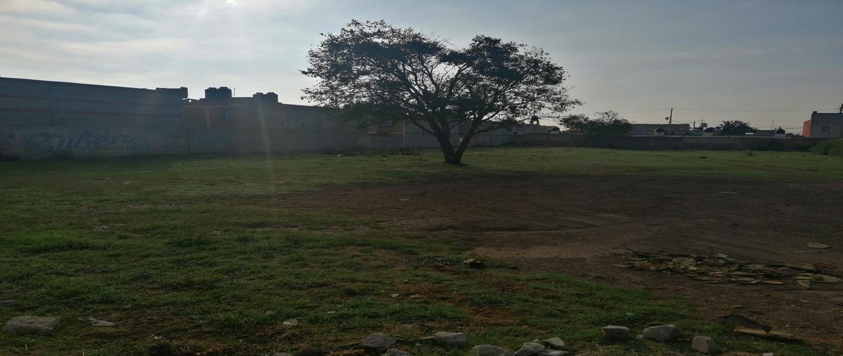 Foto de terreno habitacional en venta en  , santa úrsula zimatepec, yauhquemehcan, tlaxcala, 22049525 No. 05