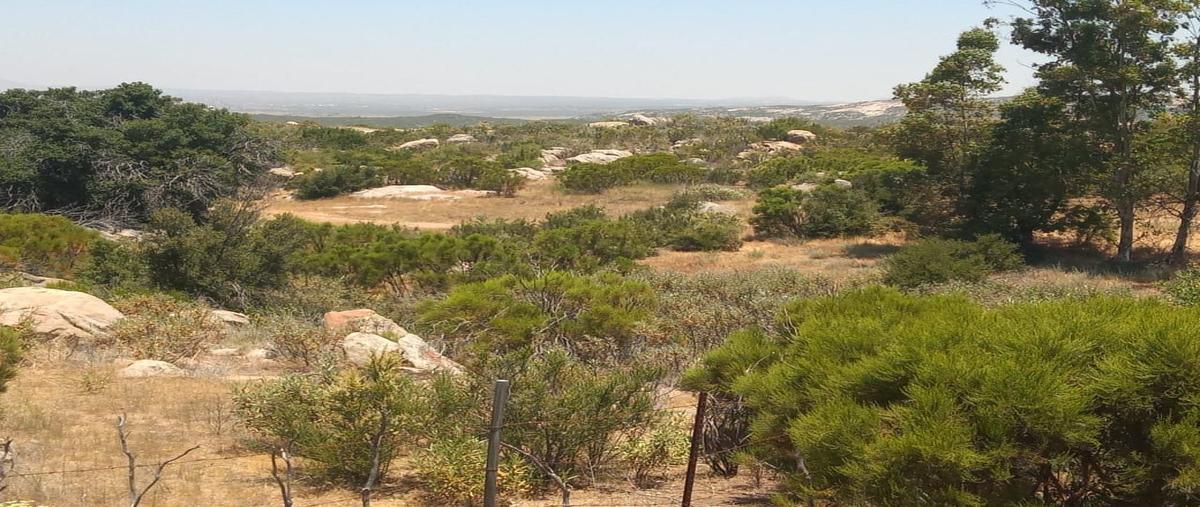 Foto de terreno habitacional en venta en  , santa verónica, tecate, baja california, 24057400 No. 03