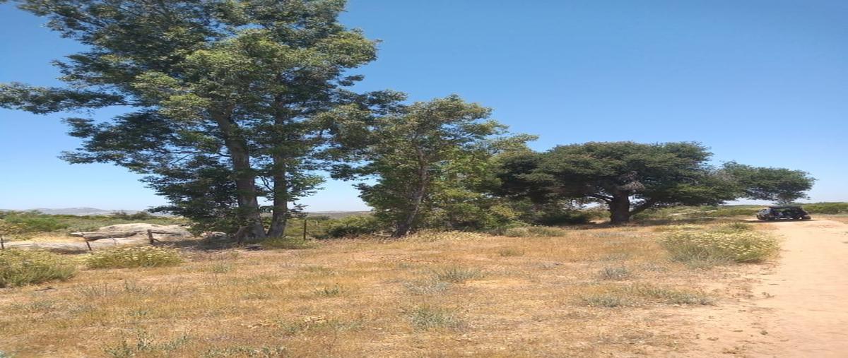 Foto de terreno habitacional en venta en  , santa verónica, tecate, baja california, 24057400 No. 04