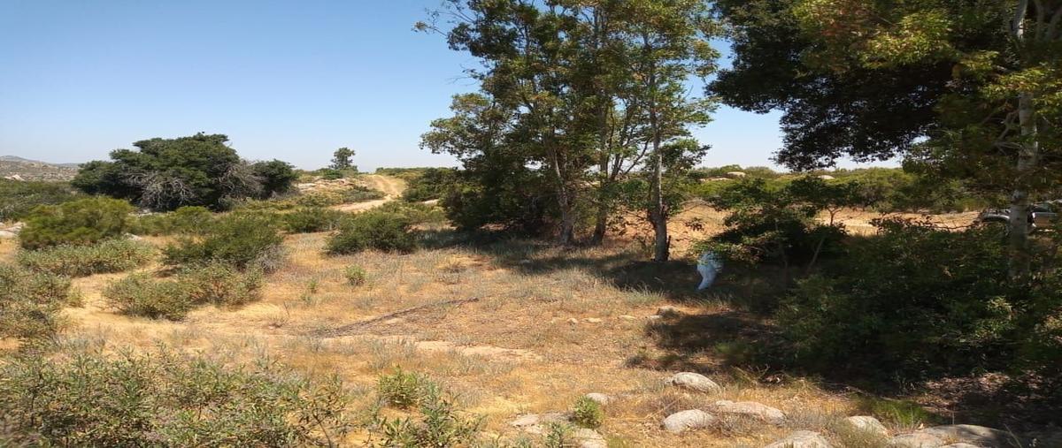 Foto de terreno habitacional en venta en  , santa verónica, tecate, baja california, 24057400 No. 05