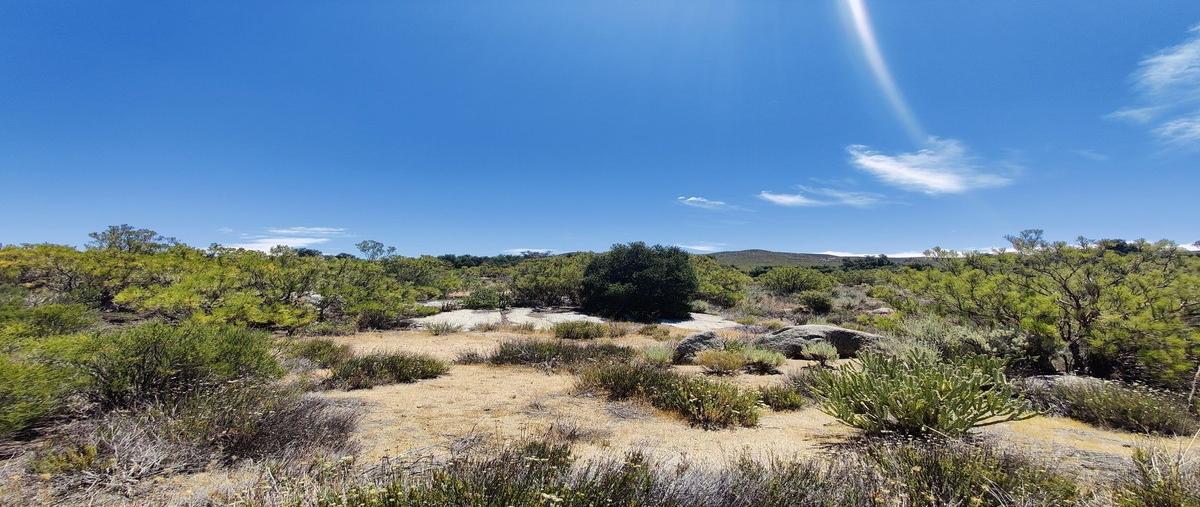Foto de terreno habitacional en venta en  , santa verónica, tecate, baja california, 0 No. 04