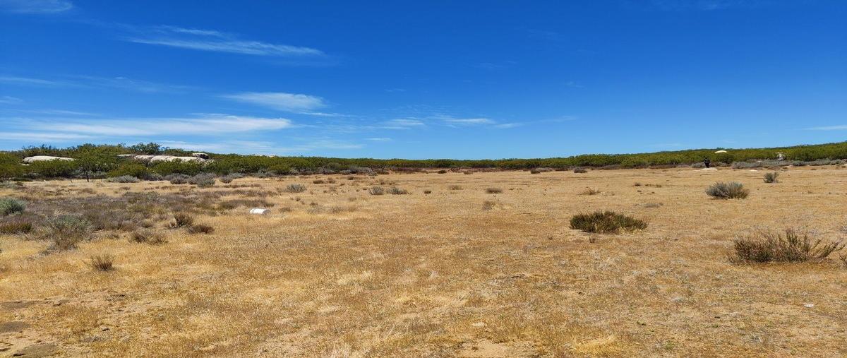 Foto de terreno habitacional en venta en  , santa verónica, tecate, baja california, 0 No. 05