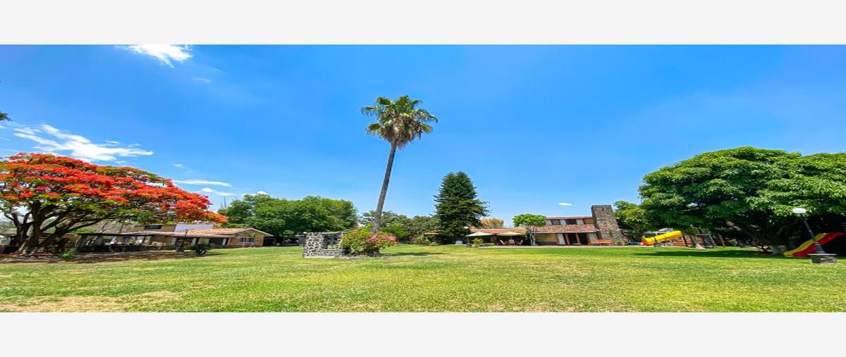 Foto de rancho en venta en  , santana, tlayacapan, morelos, 28310035 No. 05