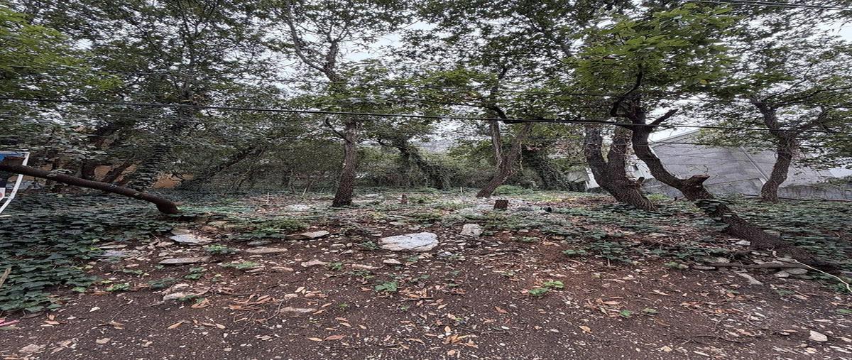 Foto de terreno habitacional en santander , bosques de san ángel sector palmillas, san pedro garza garcía, nuevo león, 30369894 foto 04 Foto de terreno habitacional en venta en santander , bosques de san ángel sector palmillas, san pedro garza garcía, nuevo león, 30369894 No. 04