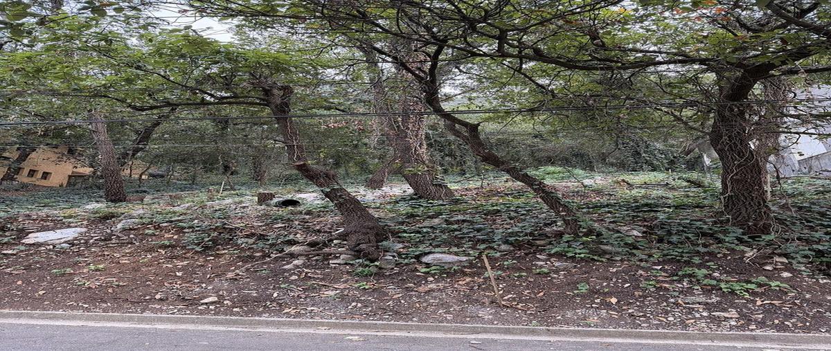 Foto de terreno habitacional en santander , bosques de san ángel sector palmillas, san pedro garza garcía, nuevo león, 30369894 foto 05 Foto de terreno habitacional en venta en santander , bosques de san ángel sector palmillas, san pedro garza garcía, nuevo león, 30369894 No. 05