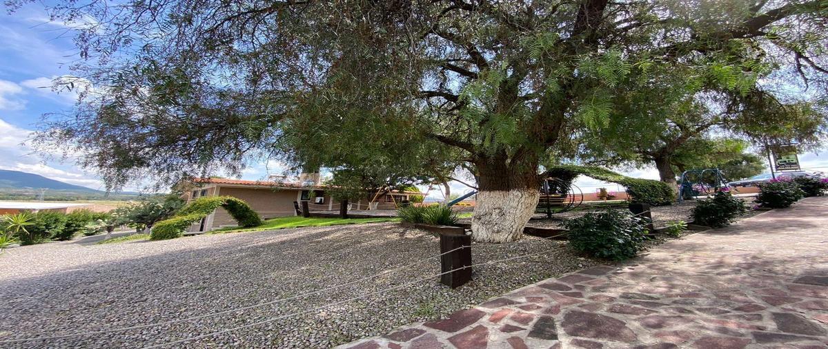 Foto de terreno habitacional en venta en santas marias , santas marías, san miguel de allende, guanajuato, 25917969 No. 03