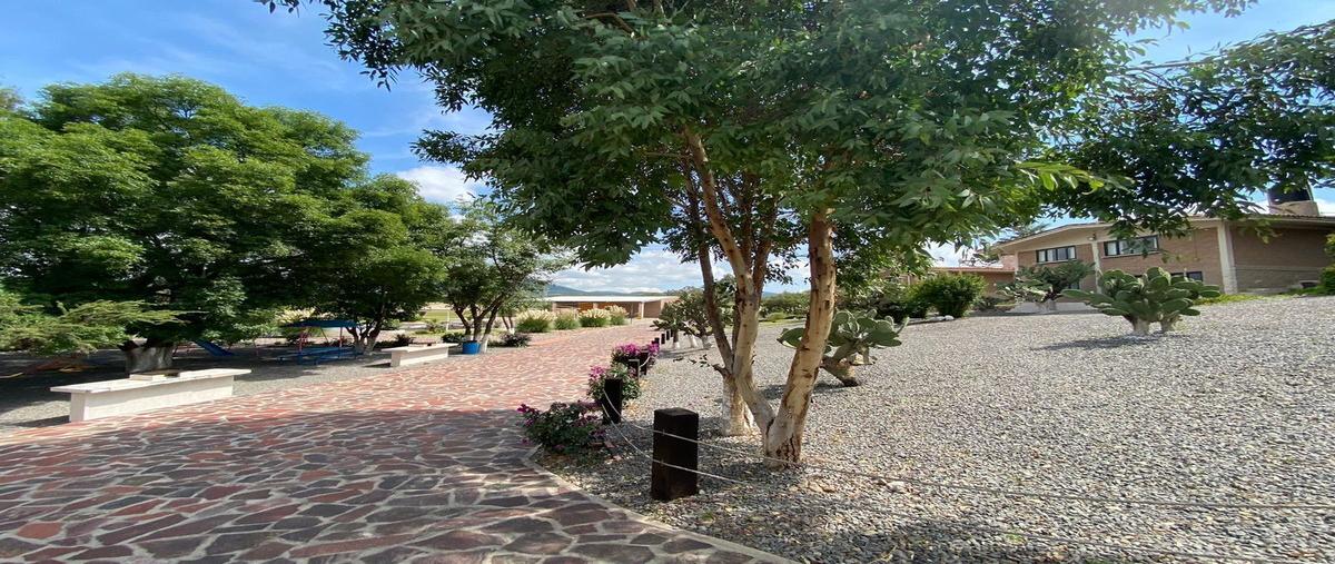 Foto de terreno habitacional en venta en santas marias , santas marías, san miguel de allende, guanajuato, 25917969 No. 05