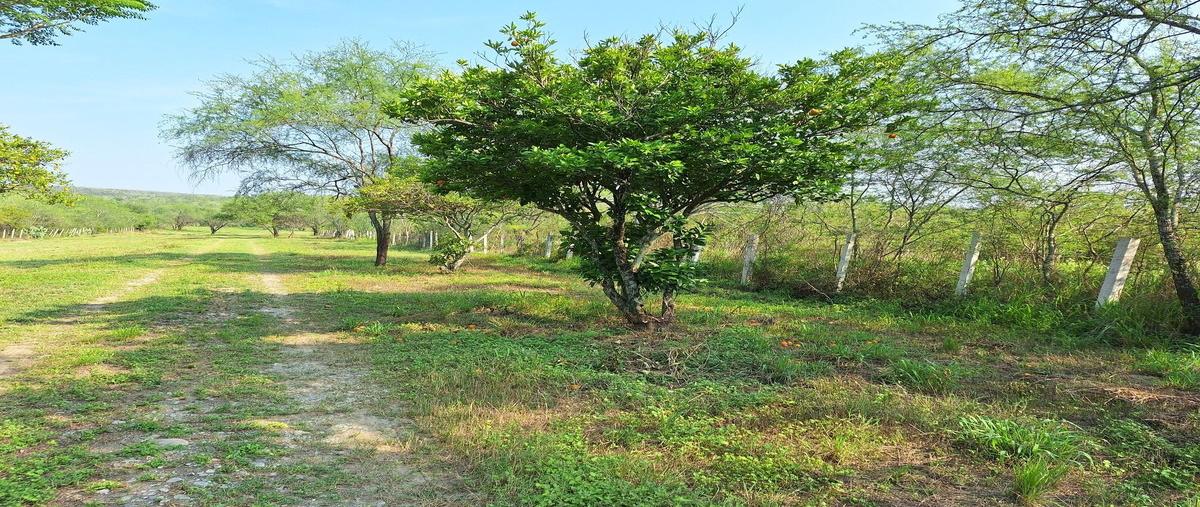 Foto de terreno habitacional en santiago aguirre , el porvenir, allende, nuevo león, 28247484 foto 03 Foto de terreno habitacional en venta en santiago aguirre , el porvenir, allende, nuevo león, 28247484 No. 03