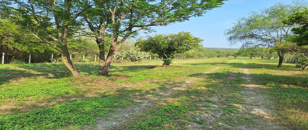 Foto de terreno habitacional en santiago aguirre , el porvenir, allende, nuevo león, 28247484 foto 04 Foto de terreno habitacional en venta en santiago aguirre , el porvenir, allende, nuevo león, 28247484 No. 04