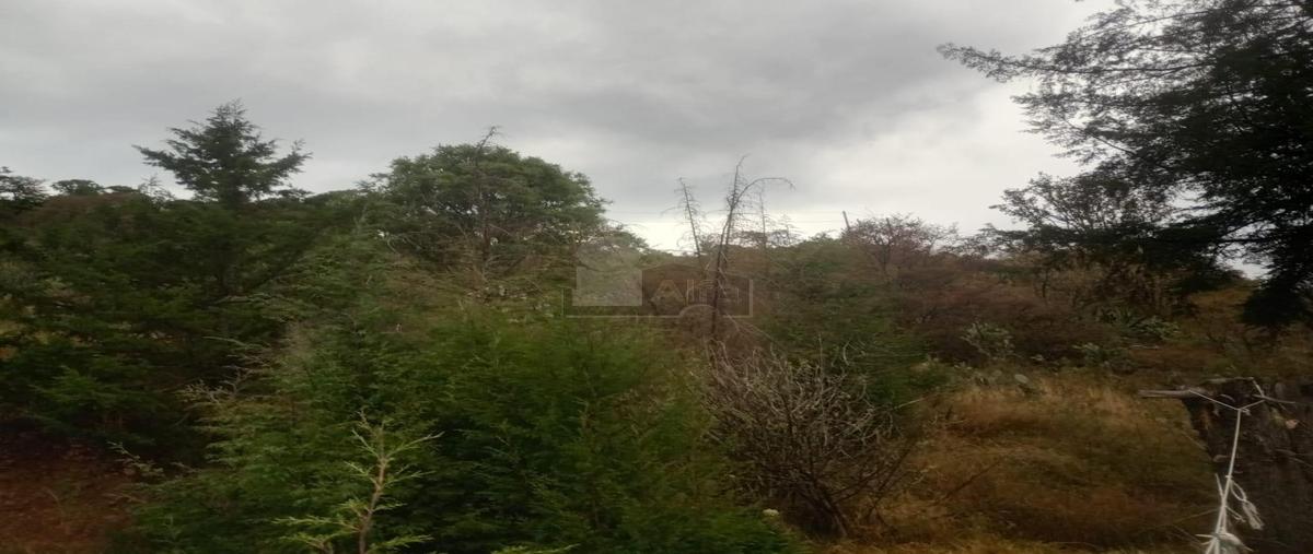 Foto de terreno habitacional en venta en santiago casandeje 64, santiago casandeje, jocotitlán, méxico, 0 No. 05