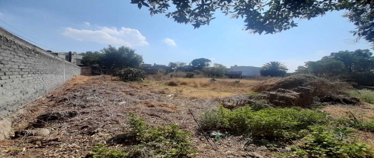 Foto de terreno habitacional en venta en  , santiago centro, tláhuac, df / cdmx, 29298762 No. 05