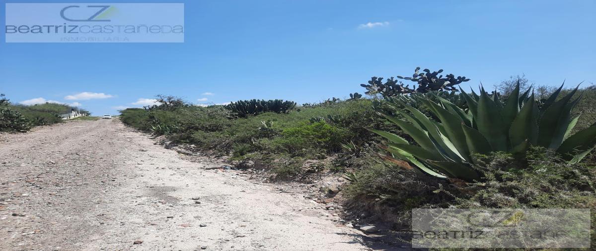 Foto de terreno habitacional en venta en  , santiago de anaya centro, santiago de anaya, hidalgo, 0 No. 03