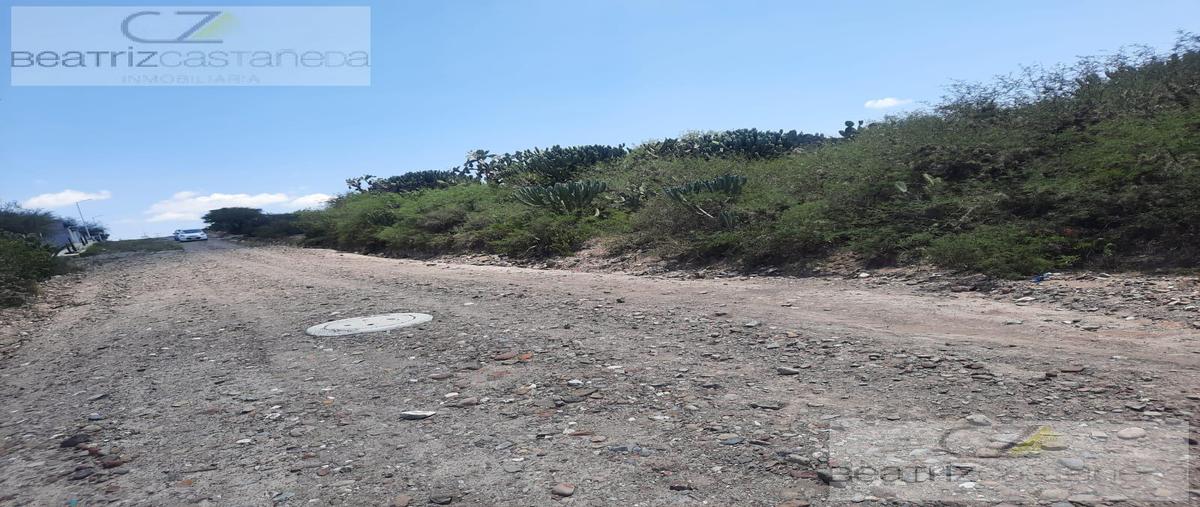 Foto de terreno habitacional en venta en  , santiago de anaya centro, santiago de anaya, hidalgo, 0 No. 04
