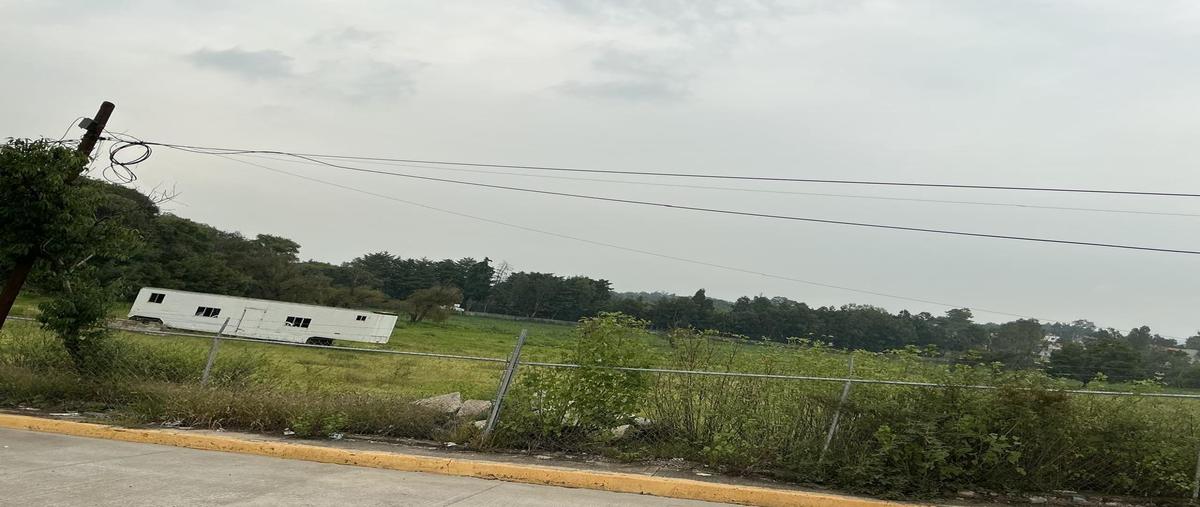 Foto de terreno habitacional en venta en  , santiago el bajo, tepotzotlán, méxico, 0 No. 05