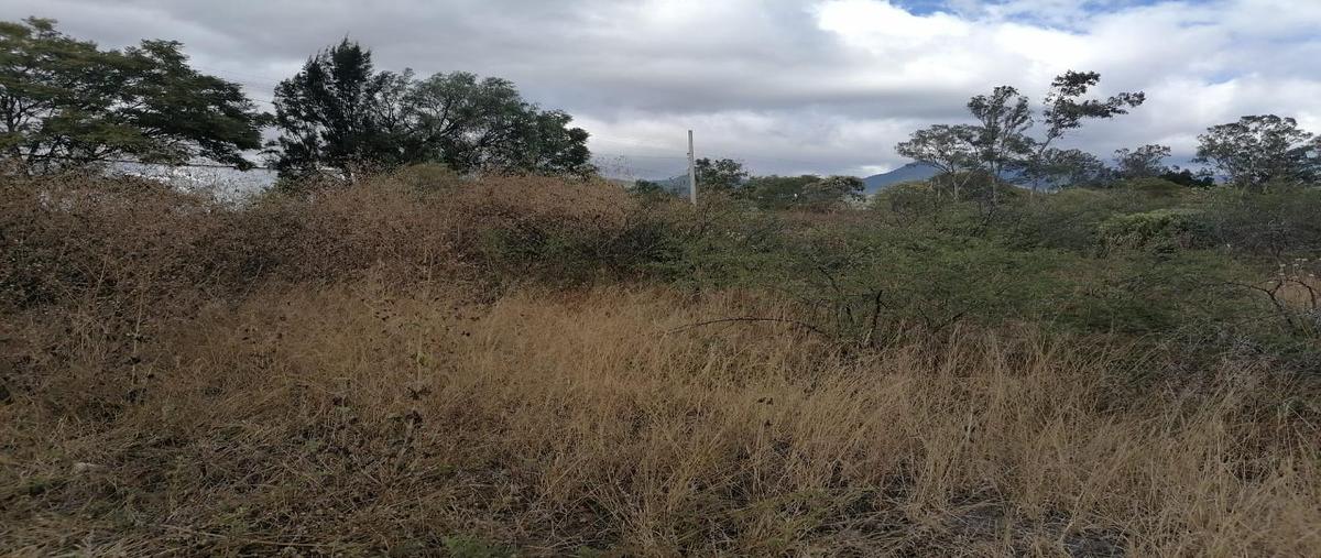 Foto de terreno habitacional en venta en  , santiago etla, san lorenzo cacaotepec, oaxaca, 0 No. 03