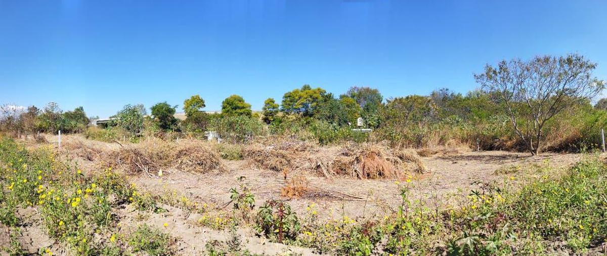 Foto de terreno habitacional en venta en  , santiago etla, san lorenzo cacaotepec, oaxaca, 0 No. 05