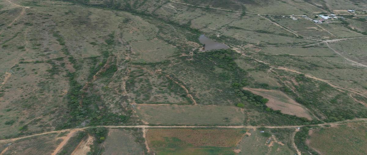 Foto de terreno habitacional en venta en  , santiago ixtaltepec, asunción ixtaltepec, oaxaca, 0 No. 03