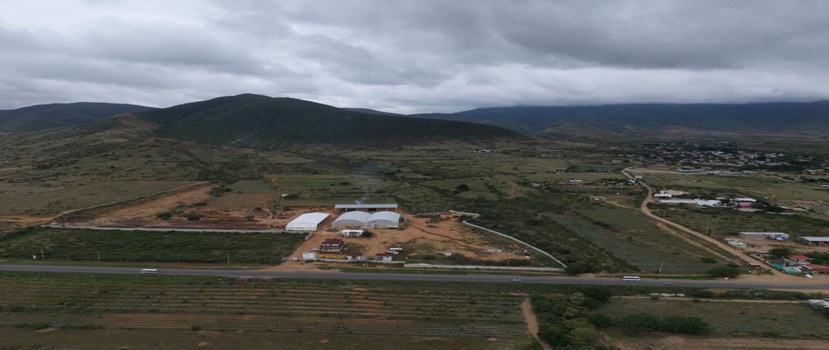 Foto de terreno habitacional en venta en  , santiago ixtaltepec, asunción ixtaltepec, oaxaca, 0 No. 05