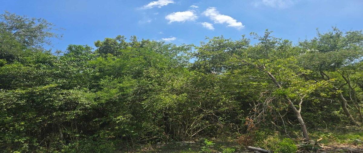 Foto de terreno habitacional en venta en santiago , la boca, santiago, nuevo león, 29993671 No. 05