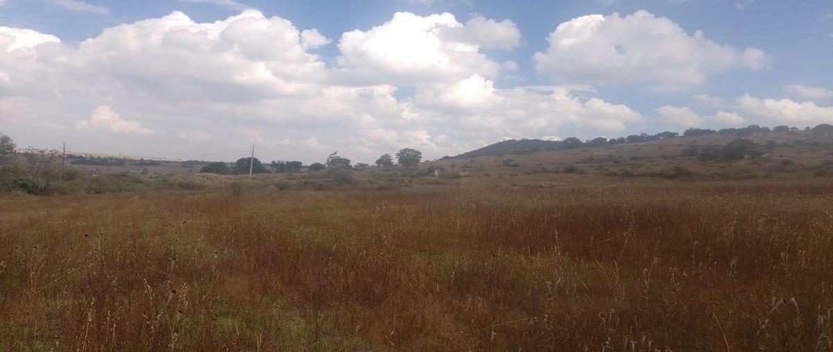 Foto de terreno habitacional en venta en  , santiago mexquititlán barrio 1o., amealco de bonfil, querétaro, 25796761 No. 03