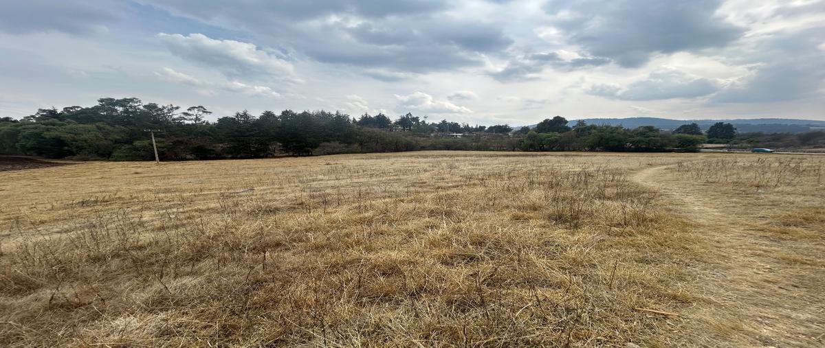 Foto de terreno habitacional en venta en  , santiago oxtempan, el oro, méxico, 0 No. 05