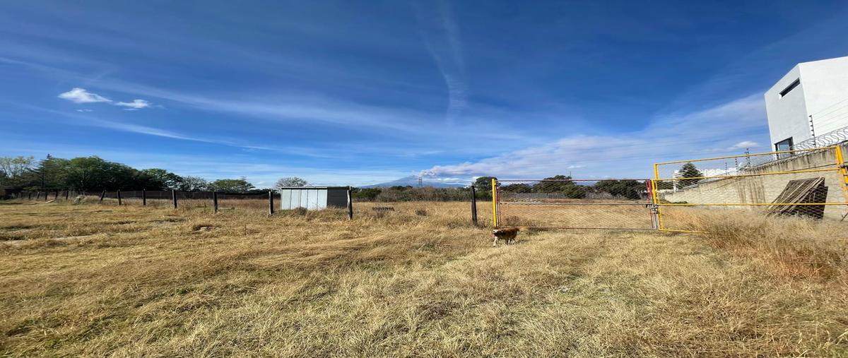 Foto de terreno habitacional en renta en  , santiago, san andrés cholula, puebla, 0 No. 03