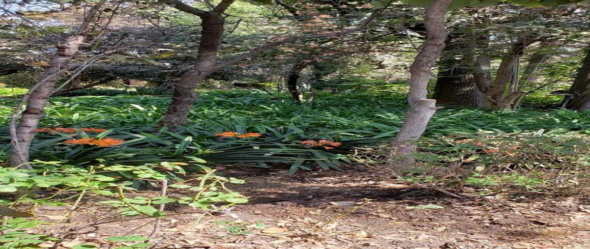 Foto de terreno habitacional en venta en santiago , san jerónimo lídice, la magdalena contreras, df / cdmx, 19720077 No. 04