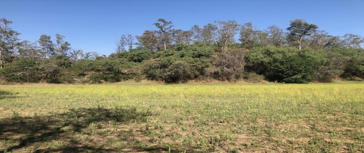 Foto de terreno habitacional en venta en  , santiago tepalcatlalpan, xochimilco, df / cdmx, 26774655 No. 03