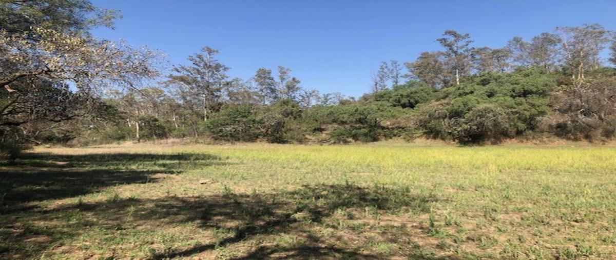Foto de terreno habitacional en venta en  , santiago tepalcatlalpan, xochimilco, df / cdmx, 26774655 No. 04