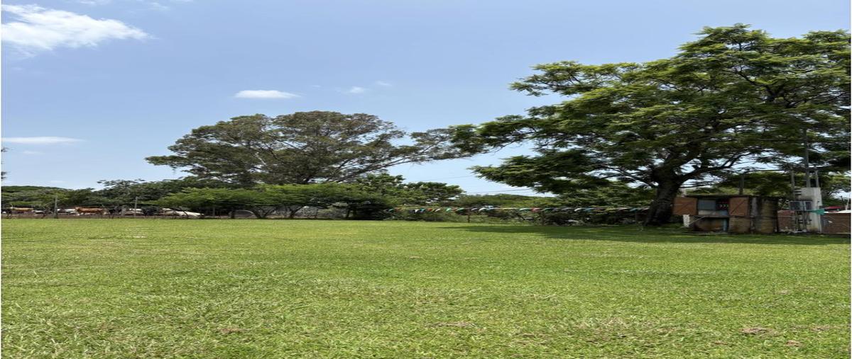Foto de terreno habitacional en venta en  , santiago tepetlapa, tepoztlán, morelos, 30238573 No. 05
