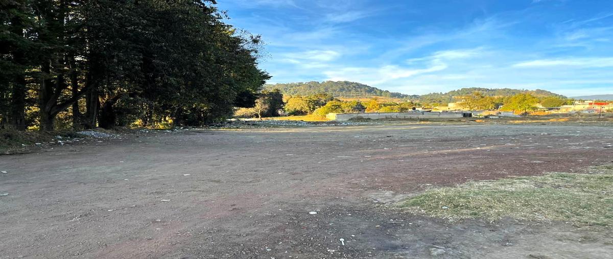 Foto de terreno habitacional en venta en  , santiago tianguistenco de galeana, tianguistenco, méxico, 30299112 No. 05