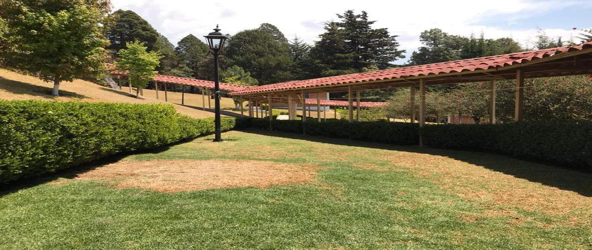 Foto de terreno habitacional en venta en  , santiago tilapa, tianguistenco, méxico, 0 No. 03
