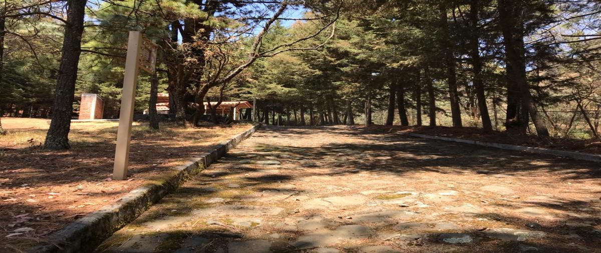 Foto de terreno habitacional en venta en  , santiago tilapa, tianguistenco, méxico, 0 No. 05