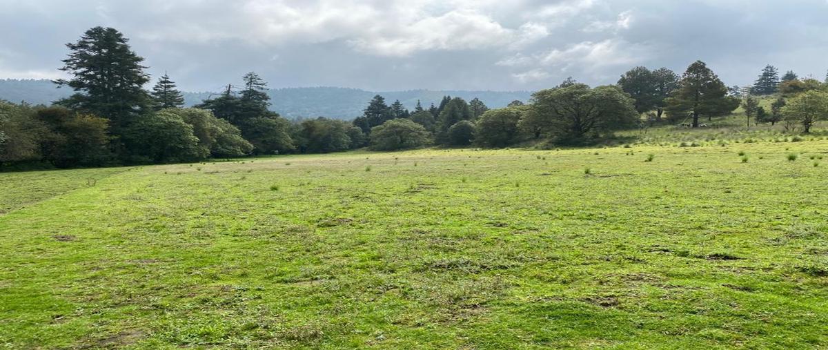 Foto de terreno habitacional en venta en  , santiago tilapa, tianguistenco, méxico, 0 No. 03