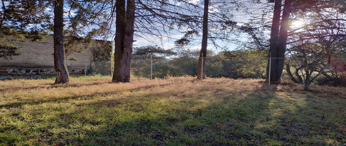 Foto de terreno habitacional en , santiago tlacotepec, toluca, méxico, 0 foto 04 Foto de terreno habitacional en venta en , santiago tlacotepec, toluca, méxico, 0 No. 04
